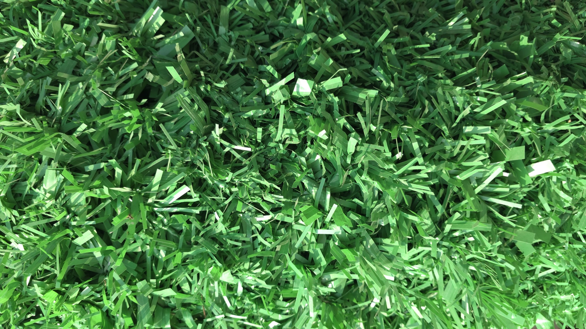 Экозабор Econ eco_fence_grass_macro.jpg