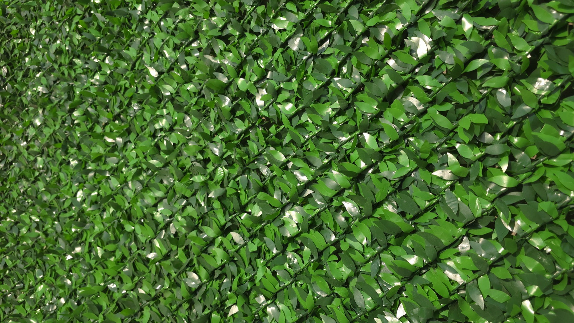 Экозабор Econ eco_fence_grass_macro_1.jpg
