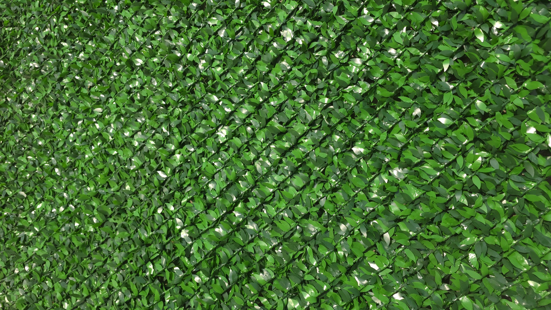 Экозабор Econ eco_fence_grass_macro_2.jpg