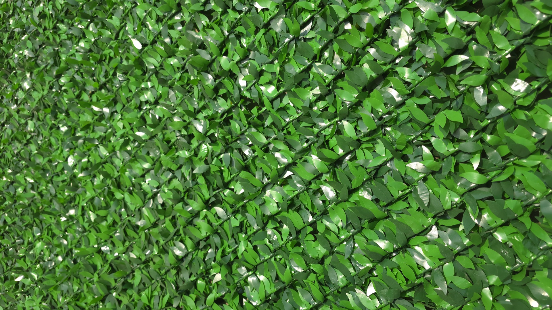 Экозабор Econ eco_fence_grass_macro_3.jpg