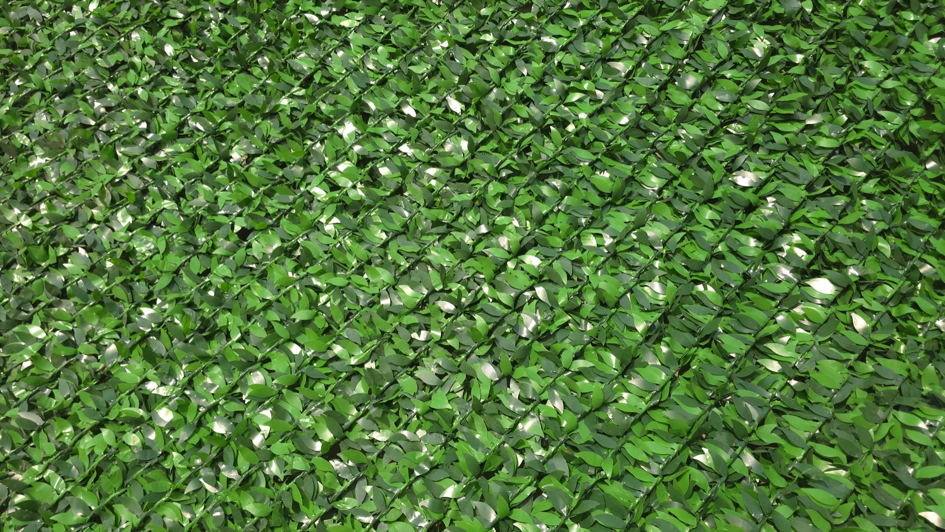 Экозабор Econ eco_fence_leaf_macro.jpg