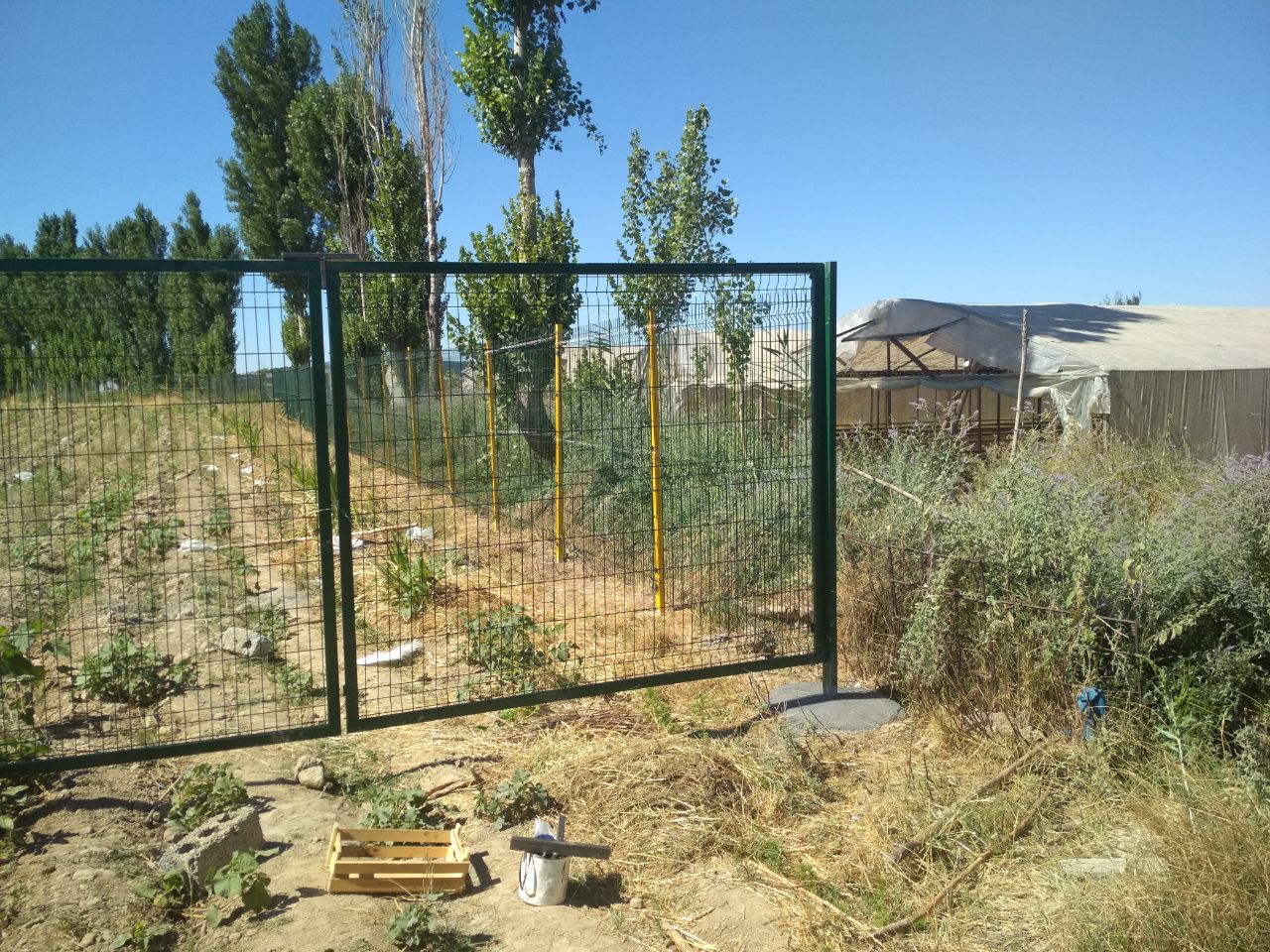 fence19.jpg